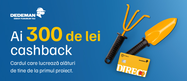 Cardul care lucrează alături de tine de la primul proiect